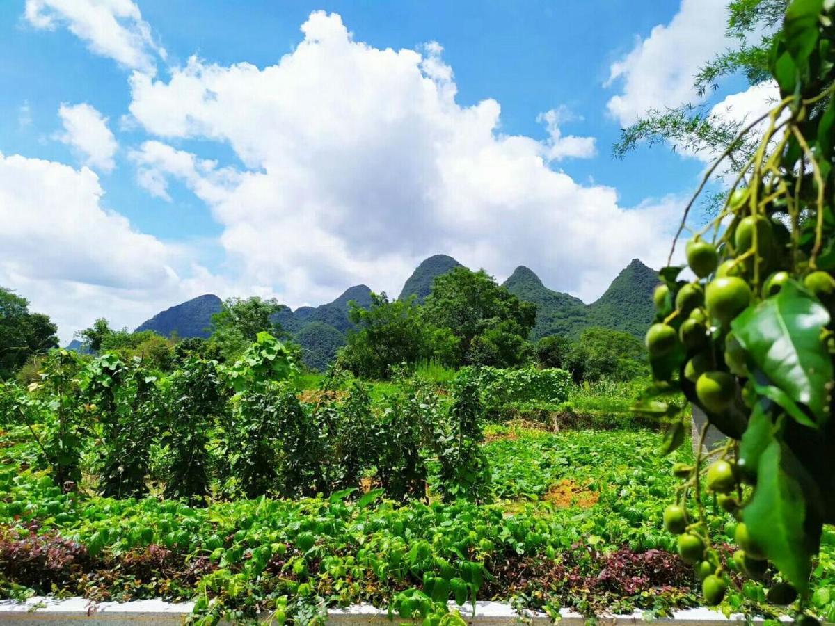 Yangshuo Coco Garden Hotel Exteriér fotografie